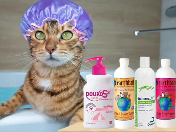 7 Best Cat Shampoos: Moisturizing Soothing, & More [Vet Approved]